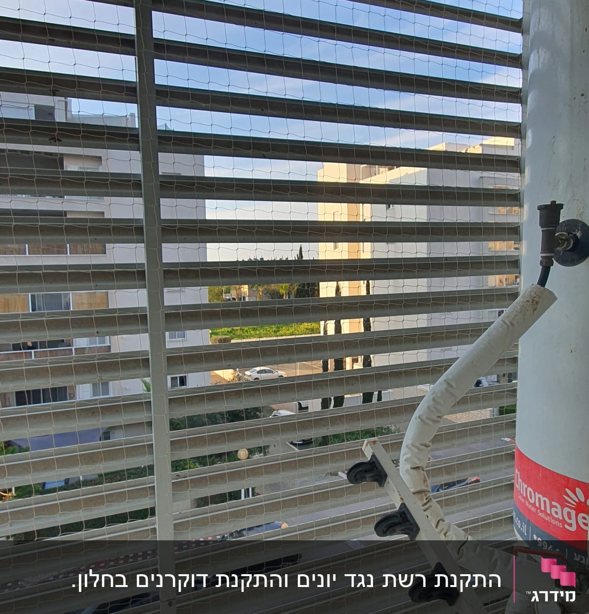 רשת מתכת על חלון עם דוקרנים למניעת יונים